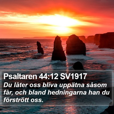 Psaltaren 44:12 SV1917 Bible Verse Image