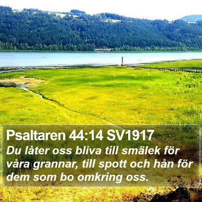 Psaltaren 44:14 SV1917 Bible Verse Image