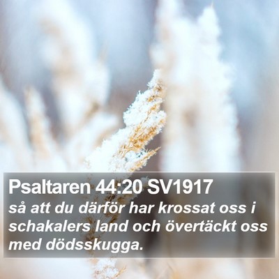 Psaltaren 44:20 SV1917 Bible Verse Image