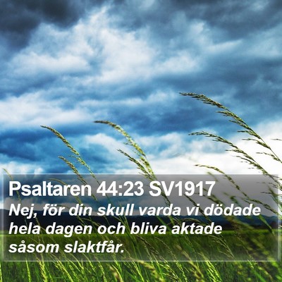 Psaltaren 44:23 SV1917 Bible Verse Image