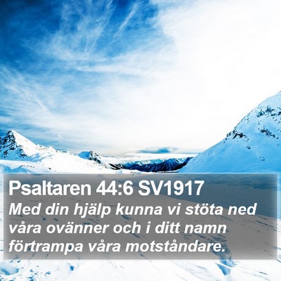 Psaltaren 44:6 SV1917 Bible Verse Image