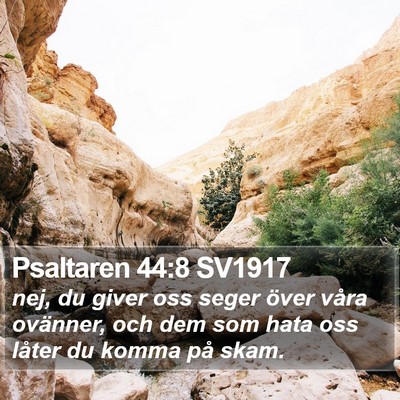 Psaltaren 44:8 SV1917 Bible Verse Image