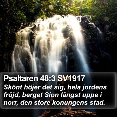 Psaltaren 48:3 SV1917 Bible Verse Image