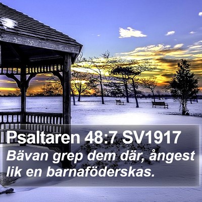 Psaltaren 48:7 SV1917 Bible Verse Image
