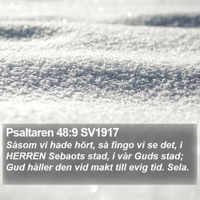 Psaltaren 48:9 SV1917 Bible Verse Image