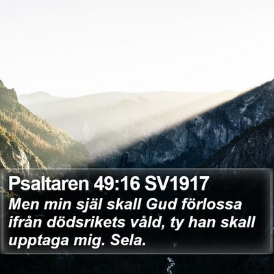 Psaltaren 49:16 SV1917 Bible Verse Image