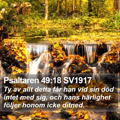 Psaltaren 49:18 SV1917 Bible Verse Image