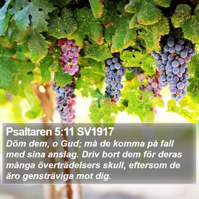 Psaltaren 5:11 SV1917 Bible Verse Image