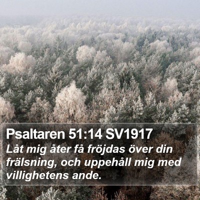 Psaltaren 51:14 SV1917 Bible Verse Image