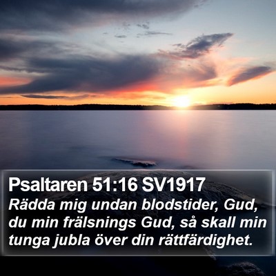 Psaltaren 51:16 SV1917 Bible Verse Image