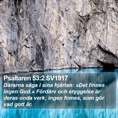 Psaltaren 53:2 SV1917 Bible Verse Image
