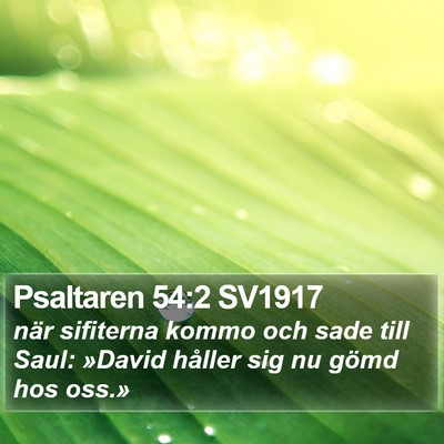 Psaltaren 54:2 SV1917 Bible Verse Image