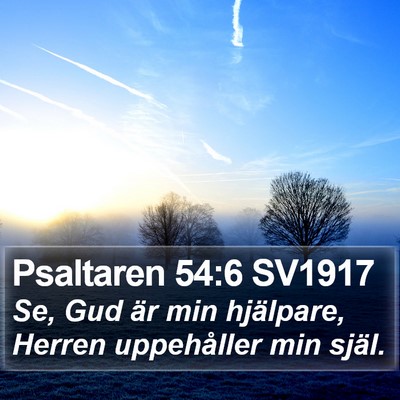 Psaltaren 54:6 SV1917 Bible Verse Image