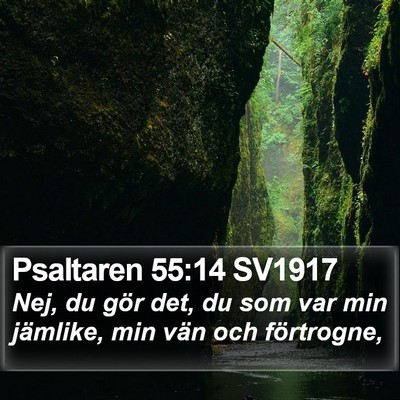 Psaltaren 55:14 SV1917 Bible Verse Image