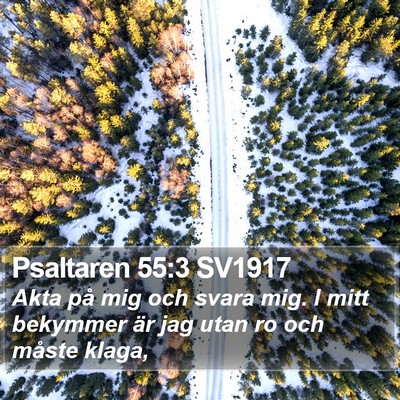 Psaltaren 55:3 SV1917 Bible Verse Image