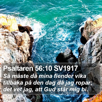 Psaltaren 56:10 SV1917 Bible Verse Image