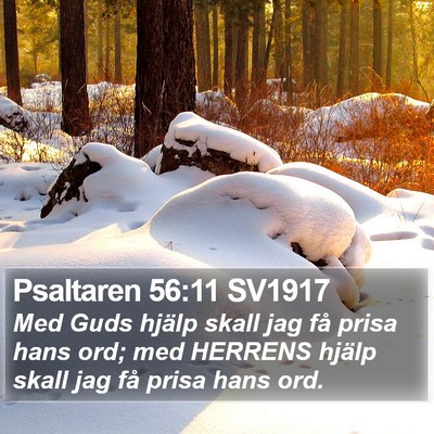 Psaltaren 56:11 SV1917 Bible Verse Image