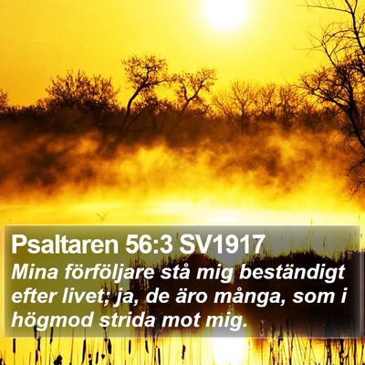 Psaltaren 56:3 SV1917 Bible Verse Image