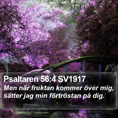 Psaltaren 56:4 SV1917 Bible Verse Image