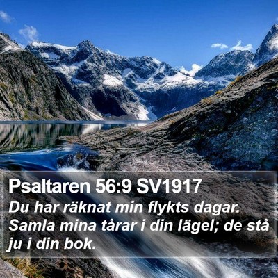 Psaltaren 56:9 SV1917 Bible Verse Image
