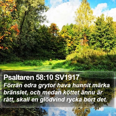 Psaltaren 58:10 SV1917 Bible Verse Image