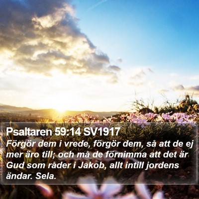 Psaltaren 59:14 SV1917 Bible Verse Image