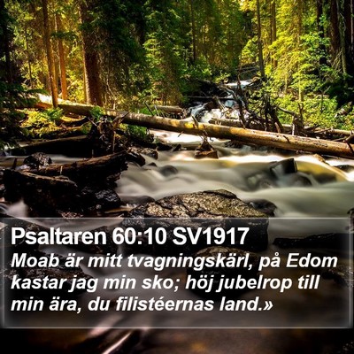 Psaltaren 60:10 SV1917 Bible Verse Image