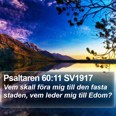 Psaltaren 60:11 SV1917 Bible Verse Image