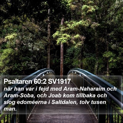 Psaltaren 60:2 SV1917 Bible Verse Image
