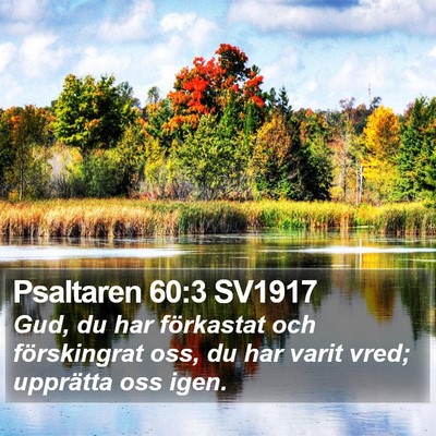 Psaltaren 60:3 SV1917 Bible Verse Image