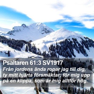 Psaltaren 61:3 SV1917 Bible Verse Image