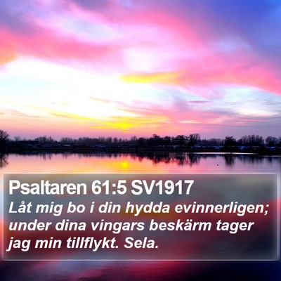 Psaltaren 61:5 SV1917 Bible Verse Image