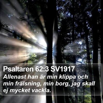 Psaltaren 62:3 SV1917 Bible Verse Image