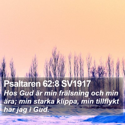 Psaltaren 62:8 SV1917 Bible Verse Image