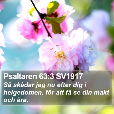 Psaltaren 63:3 SV1917 Bible Verse Image