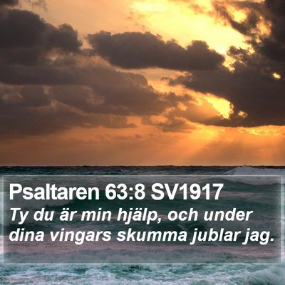 Psaltaren 63:8 SV1917 Bible Verse Image