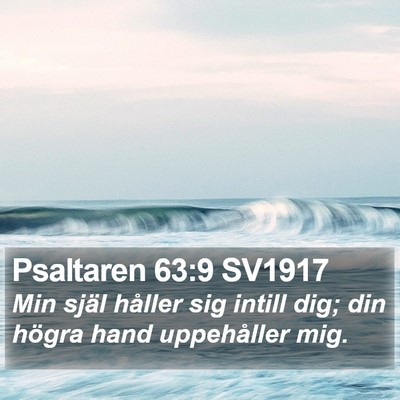 Psaltaren 63:9 SV1917 Bible Verse Image