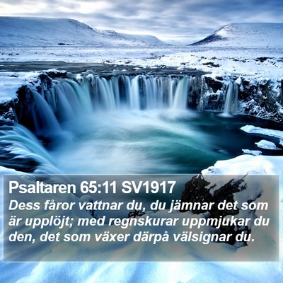 Psaltaren 65:11 SV1917 Bible Verse Image