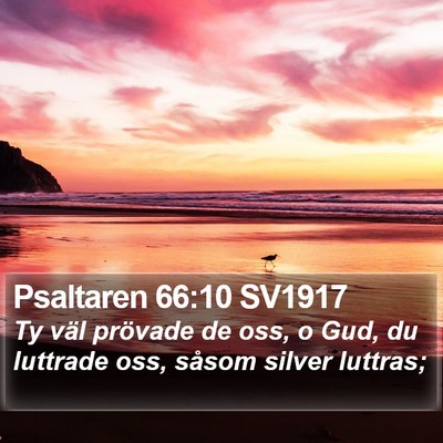 Psaltaren 66:10 SV1917 Bible Verse Image