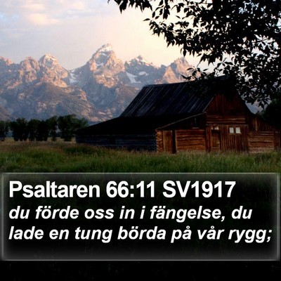 Psaltaren 66:11 SV1917 Bible Verse Image