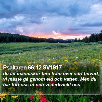 Psaltaren 66:12 SV1917 Bible Verse Image