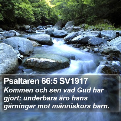 Psaltaren 66:5 SV1917 Bible Verse Image
