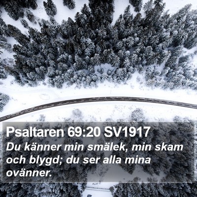 Psaltaren 69:20 SV1917 Bible Verse Image