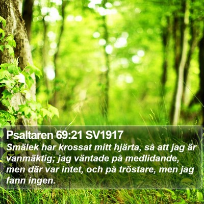 Psaltaren 69:21 SV1917 Bible Verse Image
