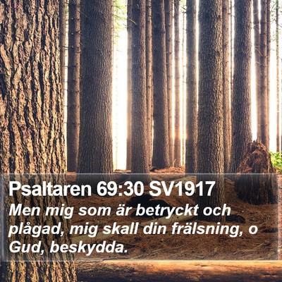 Psaltaren 69:30 SV1917 Bible Verse Image