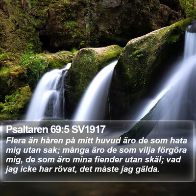 Psaltaren 69:5 SV1917 Bible Verse Image