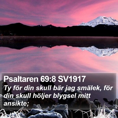 Psaltaren 69:8 SV1917 Bible Verse Image