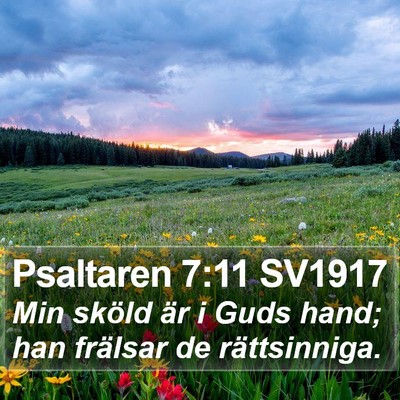 Psaltaren 7:11 SV1917 Bible Verse Image
