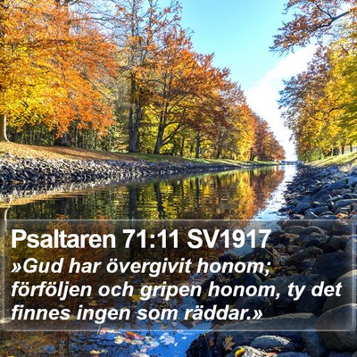 Psaltaren 71:11 SV1917 Bible Verse Image