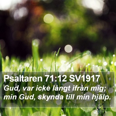 Psaltaren 71:12 SV1917 Bible Verse Image